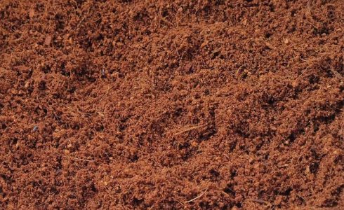 Coco-peat-95-05