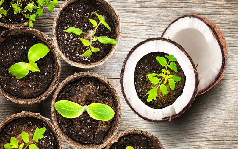 Discover all the benefits of coco soil down below