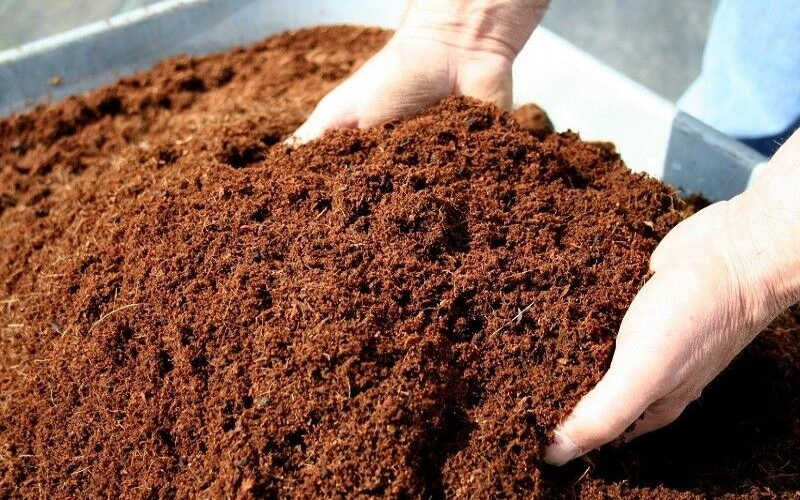 Coco soil is good for plants because it is pH neutral