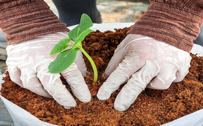 Coco coir can improve soil drainage effectively