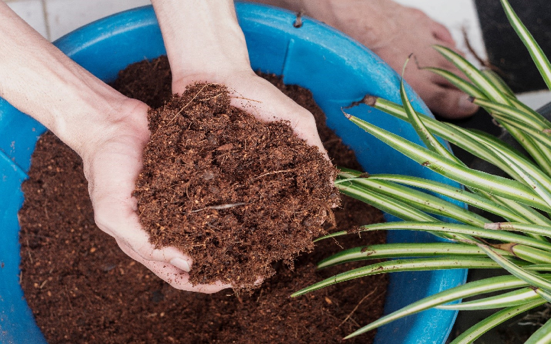 Find out all the popular types of coco coir with Tropicoco