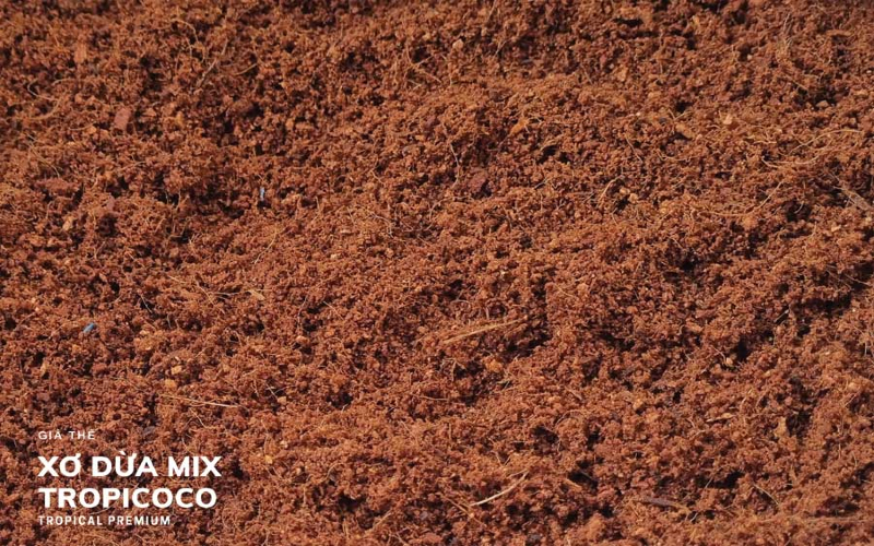 Using coco coir for gardening has become a trend recently