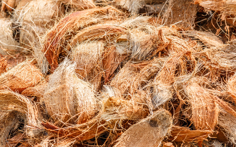 Learn how to treat coconut fiber easily