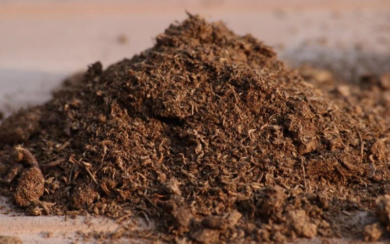 Peat moss is a dead fiber formed, mainly made from moss