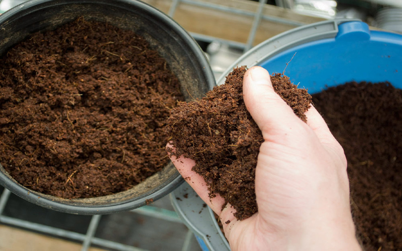 6 amazing uses of organic coco coir in the garden you should know