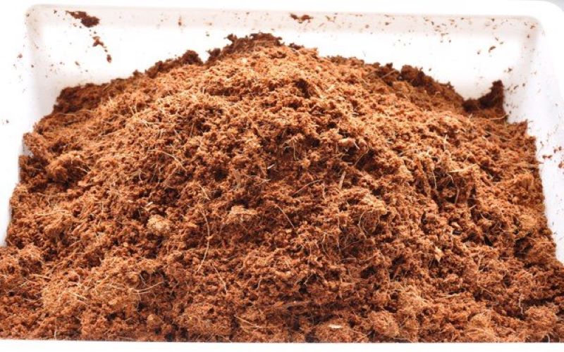 Before composting, we must treat coir