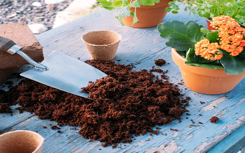 Coco coir bricks are eco-friendly and sustainable