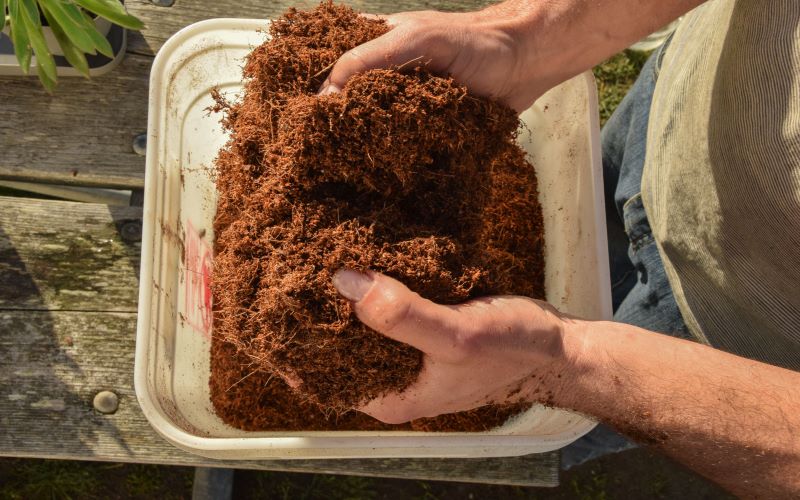 Coco coir is pretty similar to the sphagnum peat moss