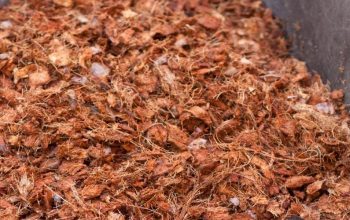 Coconut chip mulch is from 100% natural coconut husks