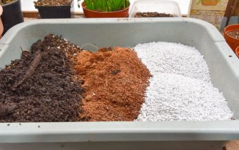 Coconut coir potting mix contains compost, perlite, and coco coir