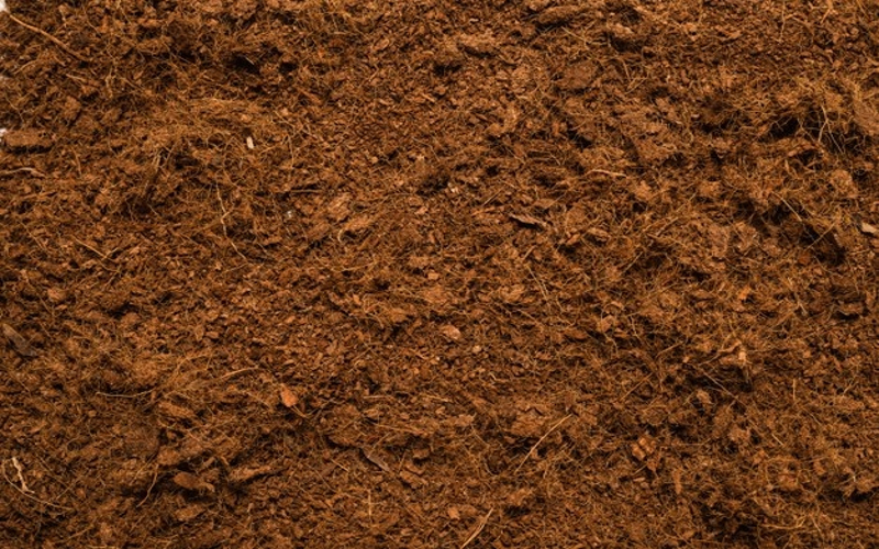 Coir substrate encourages the development good bacteria
