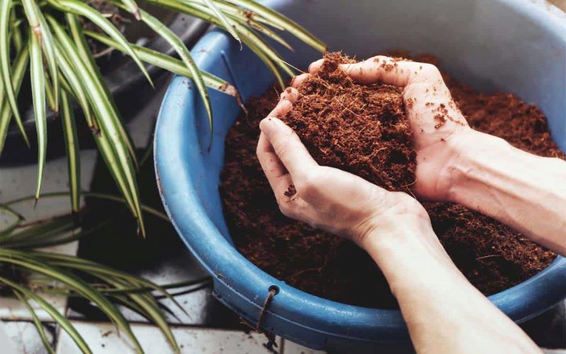 Make coco coir soil mix