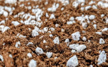 Mix coco coir with perlite has the neutral level of pH