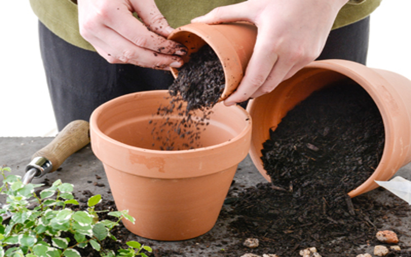 Reuse coco coir is time-saving and good for your budget