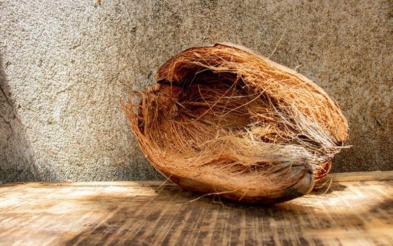The coconut’s husk is the main composition to make coco coir