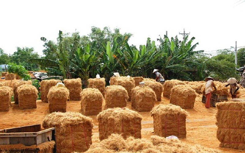 The variety of coco fiber