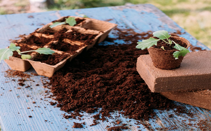 Using coir bricks in the garden offers less watering